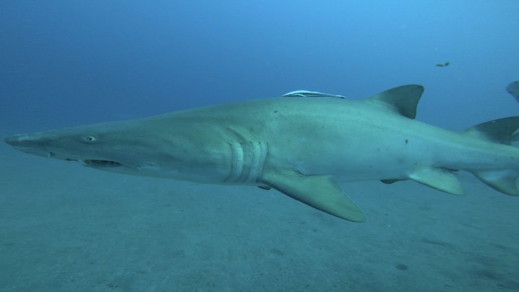 24abe8b3-93c2-46af-99fb-59c4fa2cf86f