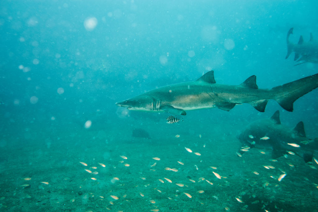 fb7ef6c9-6712-415c-bbd2-797412a05a16