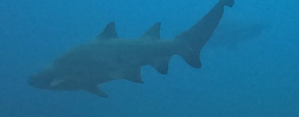 53481ef7-82d8-4a1e-a9f8-872b90085ea0