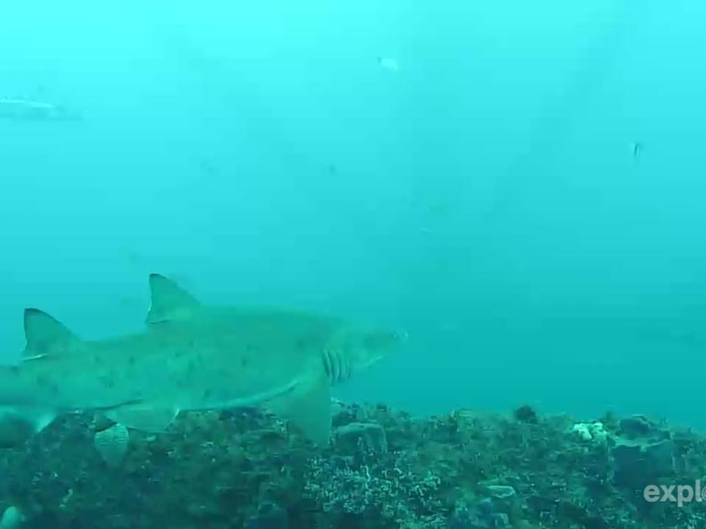 2d588eb7-b4d1-4bb7-bde3-7b317a3ceb96