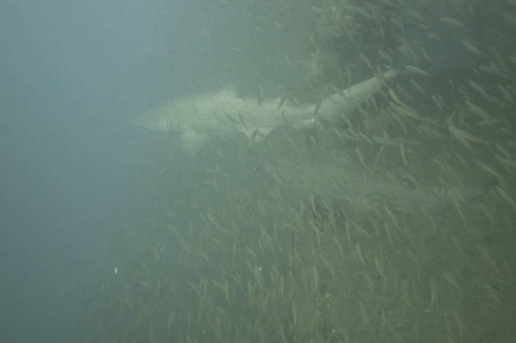 87e55198-020c-45ee-b6e3-b8ea2595b66a