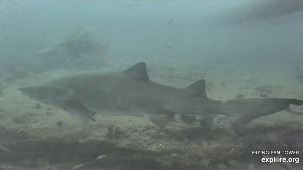 75e8f67c-d663-4d43-942d-28f1505cd9cf