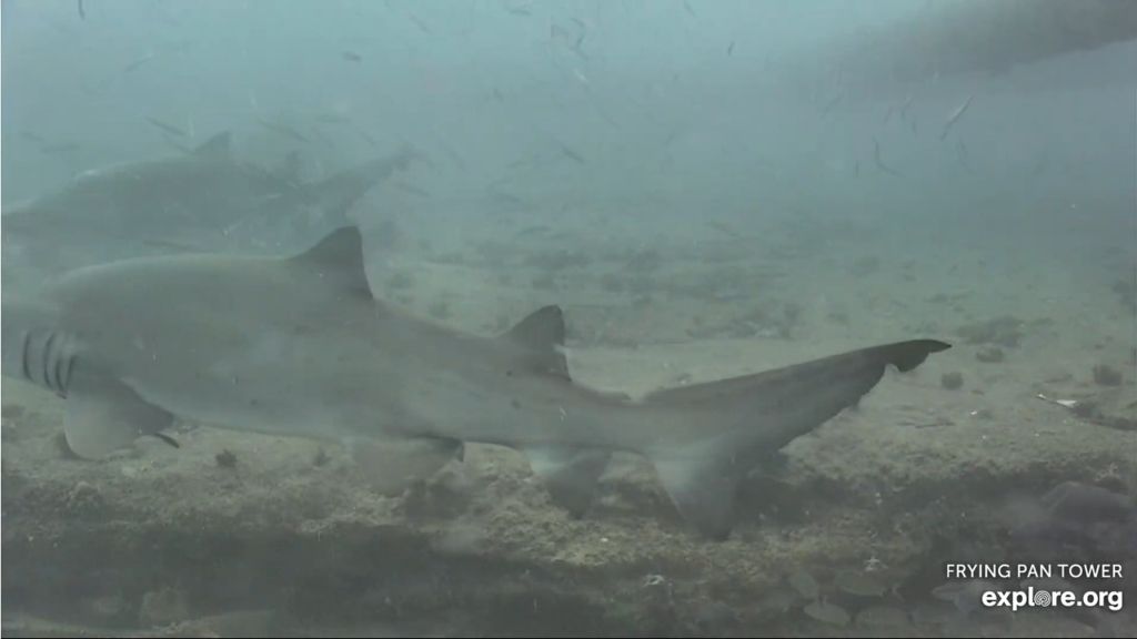 75e8f67c-d663-4d43-942d-28f1505cd9cf