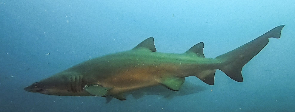 0571201d-9c73-40a4-9719-82208cbf6954