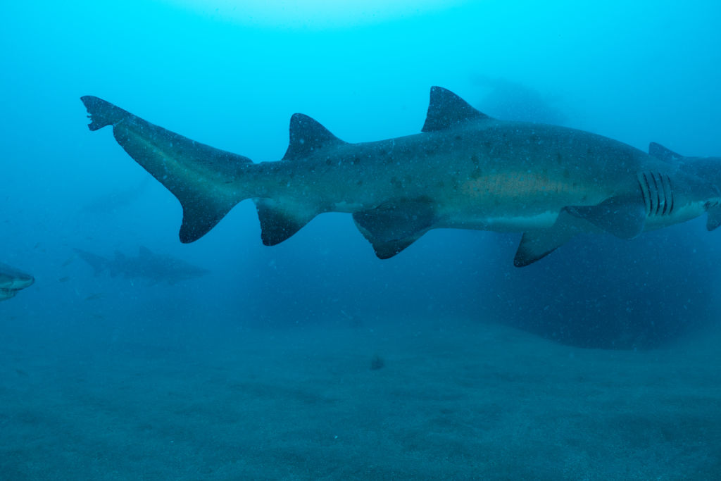 75044b86-f87e-4f43-baff-efdaaeda78d8