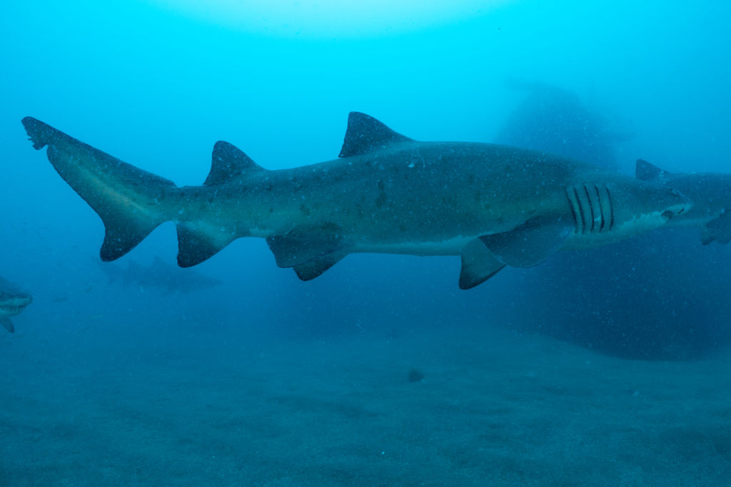 75044b86-f87e-4f43-baff-efdaaeda78d8