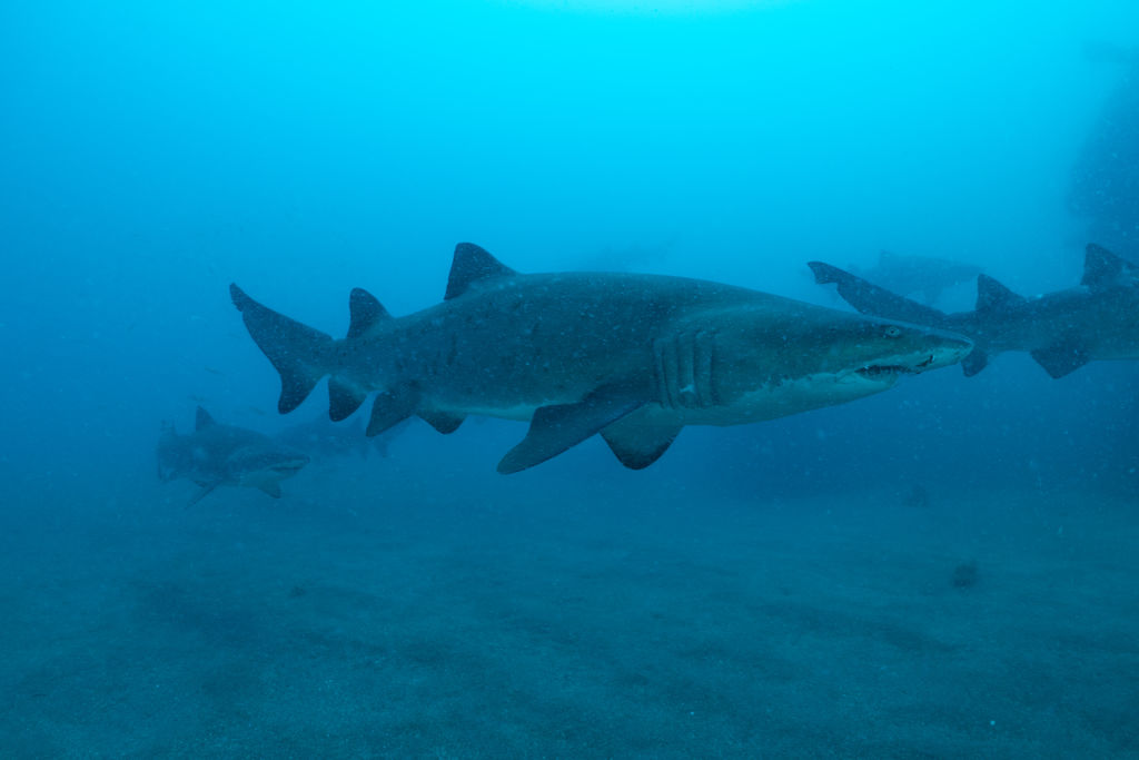 75044b86-f87e-4f43-baff-efdaaeda78d8