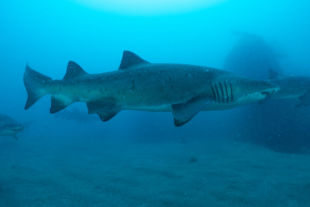 75044b86-f87e-4f43-baff-efdaaeda78d8