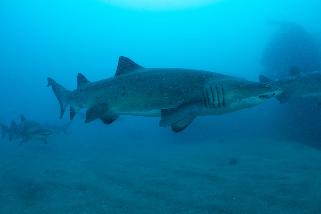 75044b86-f87e-4f43-baff-efdaaeda78d8