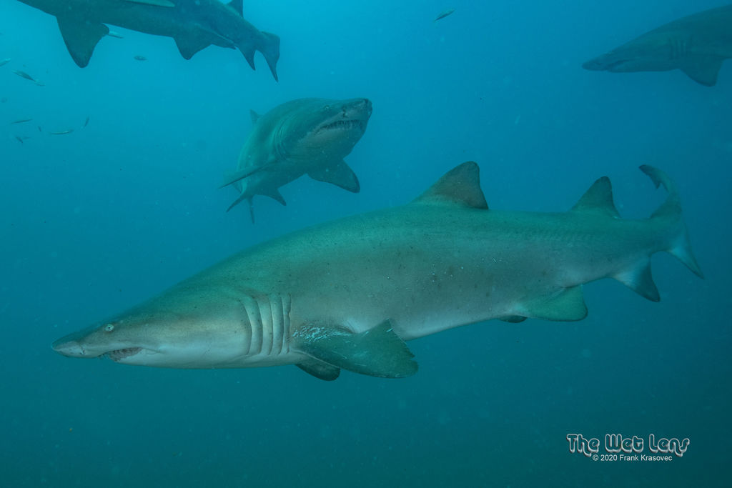 c078ba96-e834-4f28-a942-e2b23d0b5915