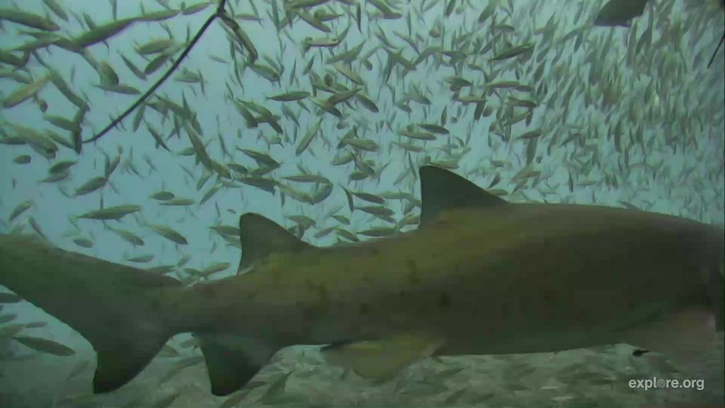 dcc14416-5d80-4309-a674-16b2a756c679