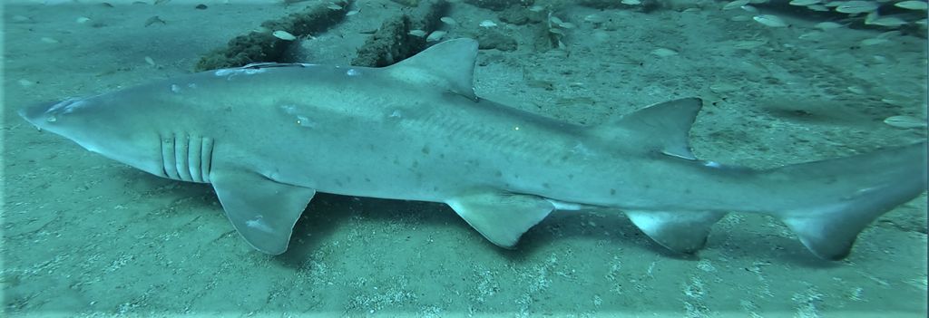 61c4ef49-50f1-4594-aa0d-a12b6f56ecd6