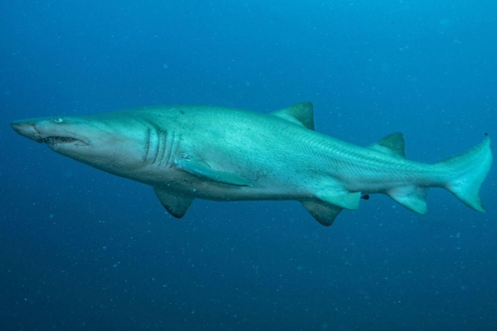 bb635361-f67d-4d9c-81df-7b02b365020a