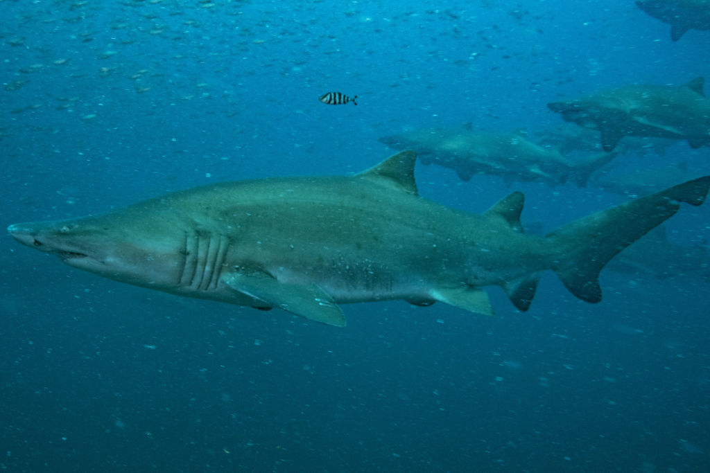 bb635361-f67d-4d9c-81df-7b02b365020a