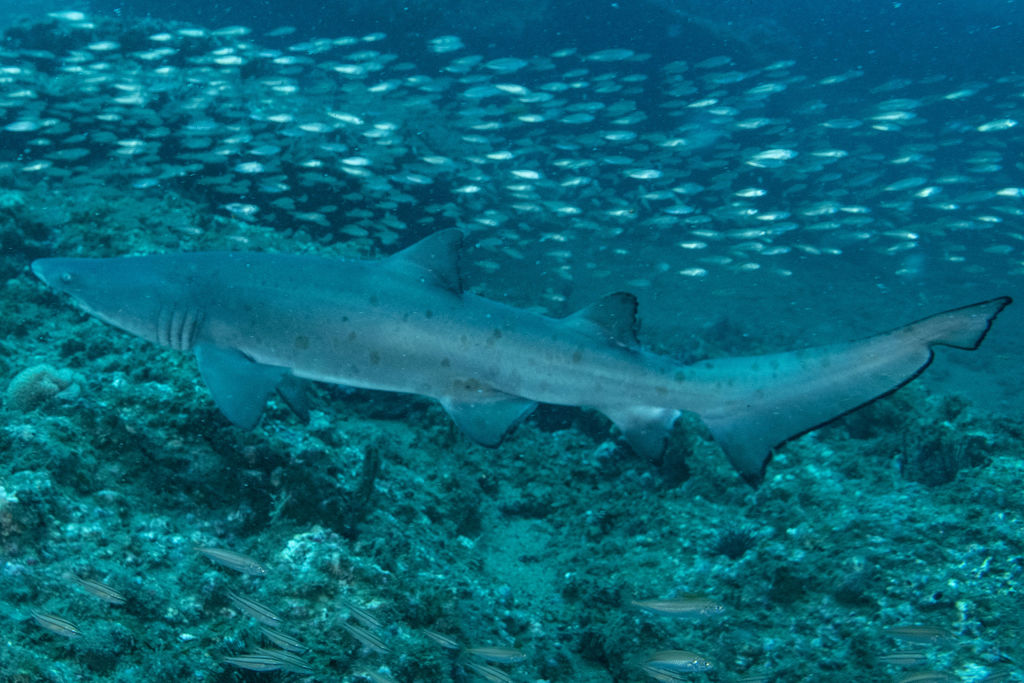 bb635361-f67d-4d9c-81df-7b02b365020a