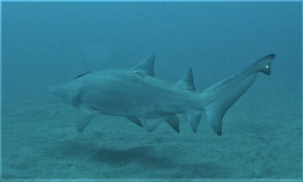 62b6c160-0666-4726-ad24-021eb5d47378