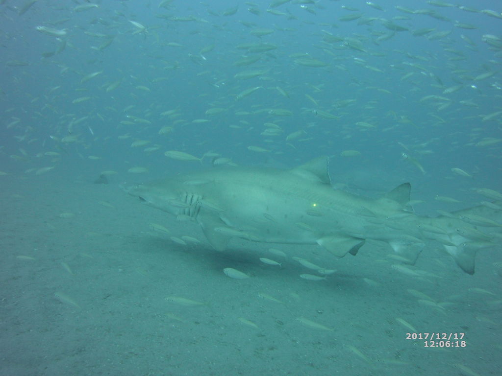 c709acb9-cc6e-4069-a241-c2a9e5e6ff4d