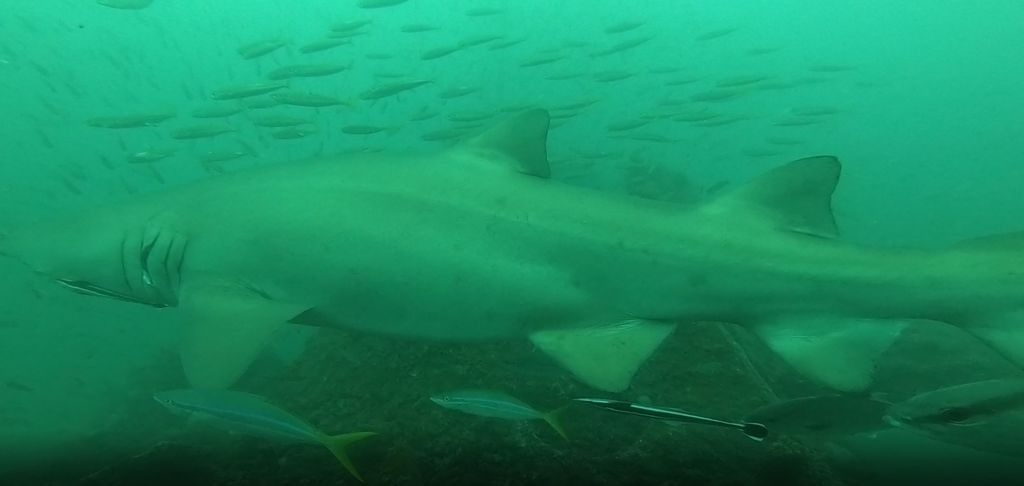 6a45d150-02d3-4234-bfdb-b9c7f1f08e2d