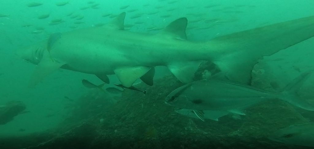 6a45d150-02d3-4234-bfdb-b9c7f1f08e2d