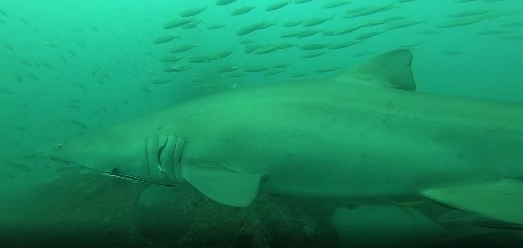 6a45d150-02d3-4234-bfdb-b9c7f1f08e2d