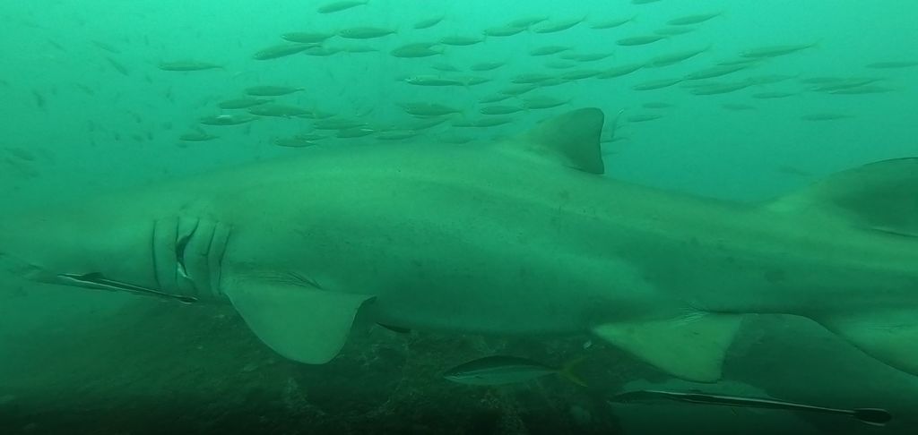 6a45d150-02d3-4234-bfdb-b9c7f1f08e2d