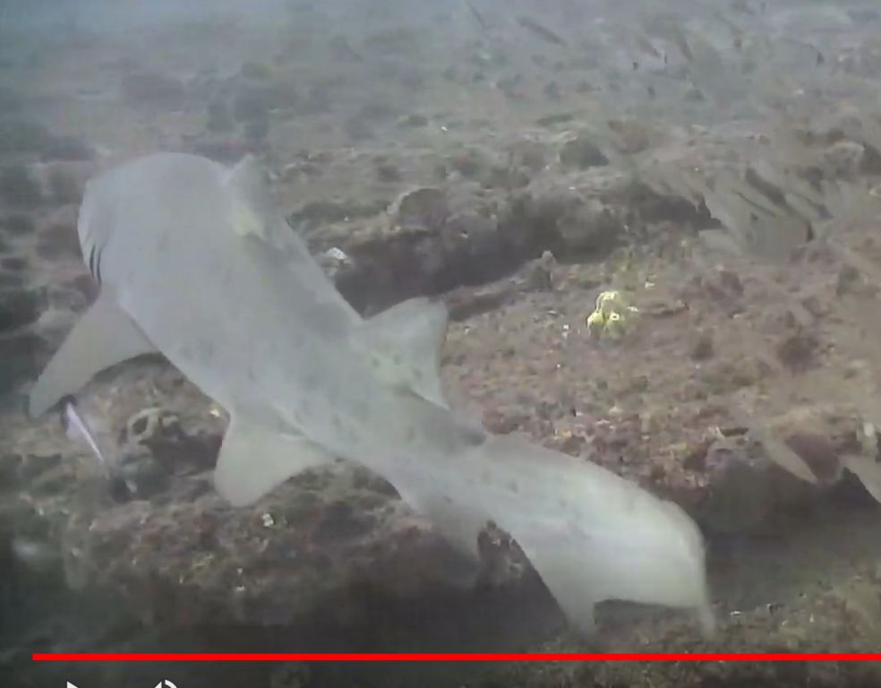 44d8f767-3dff-4710-9a51-4cacdd3109c0