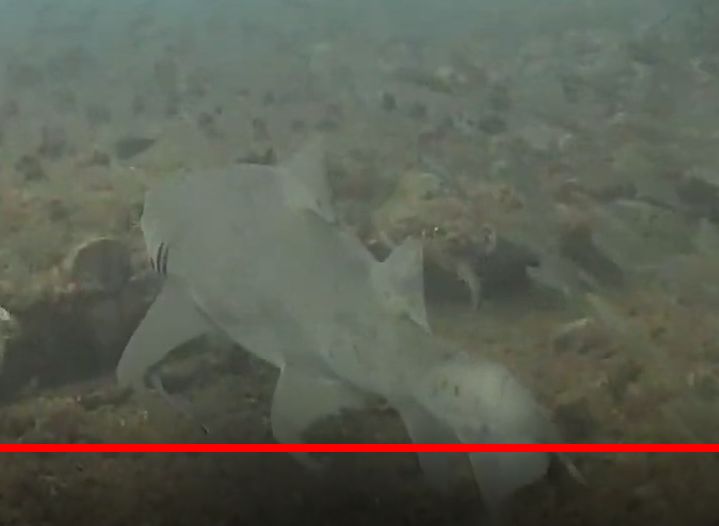 44d8f767-3dff-4710-9a51-4cacdd3109c0