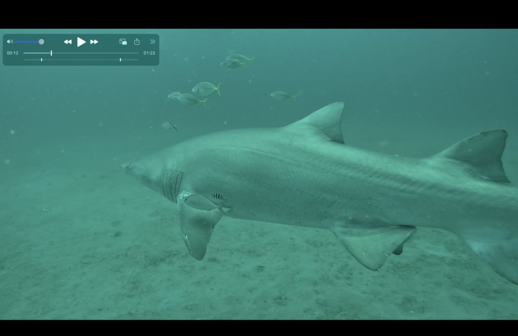 422b2c34-931e-449a-9de3-c82ae35debe1