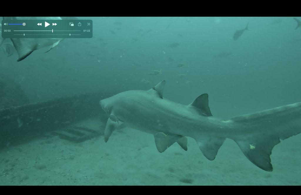 422b2c34-931e-449a-9de3-c82ae35debe1