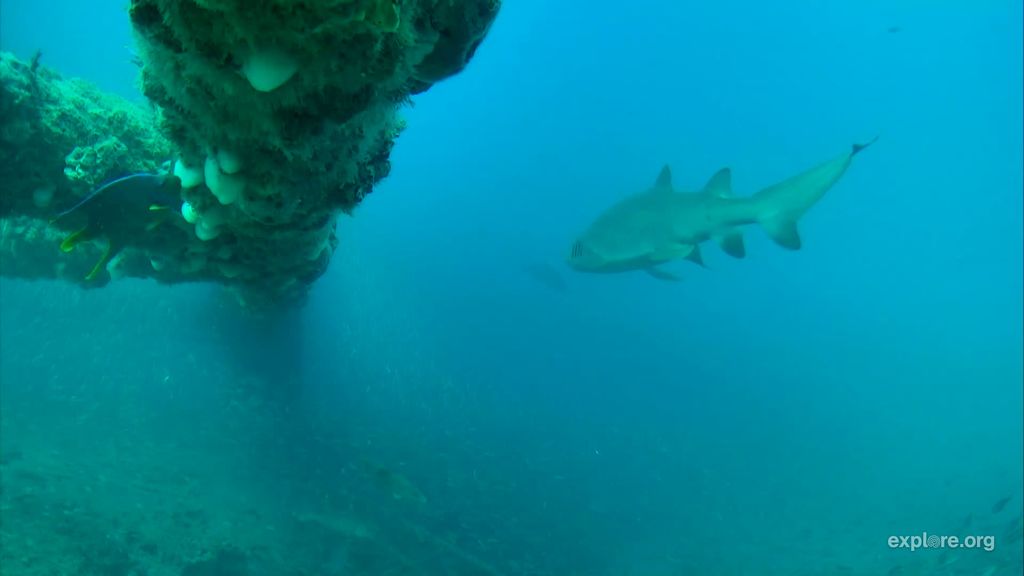 0c212e4c-6787-465f-9e85-f90054f96a4c