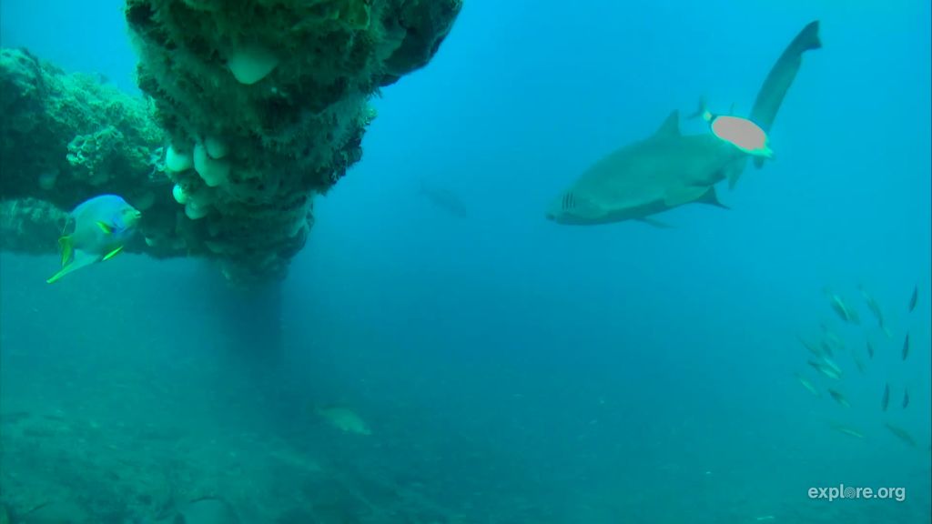 0c212e4c-6787-465f-9e85-f90054f96a4c