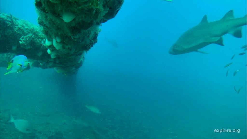 0c212e4c-6787-465f-9e85-f90054f96a4c