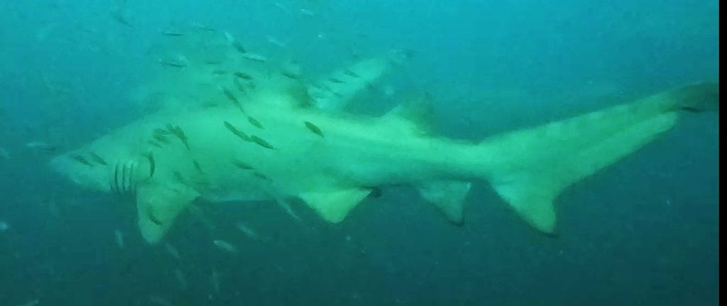 07eef75c-2697-409e-b9eb-c6b7ec52007d