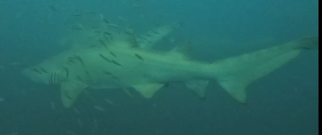 07eef75c-2697-409e-b9eb-c6b7ec52007d