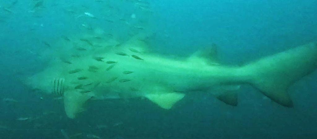 07eef75c-2697-409e-b9eb-c6b7ec52007d