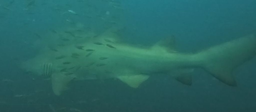 07eef75c-2697-409e-b9eb-c6b7ec52007d