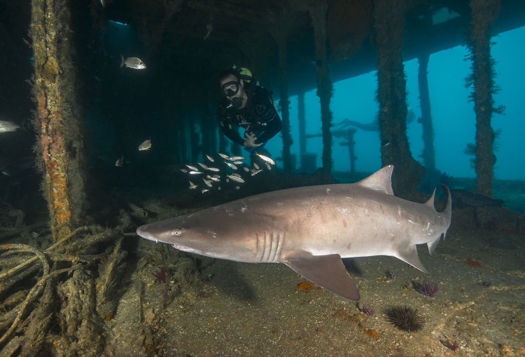 4da7ef6b-88b9-477a-8115-348ddaca1170