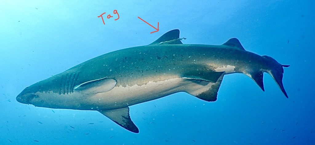 556bdf4b-ac83-4360-90f7-dd9023ed7ded