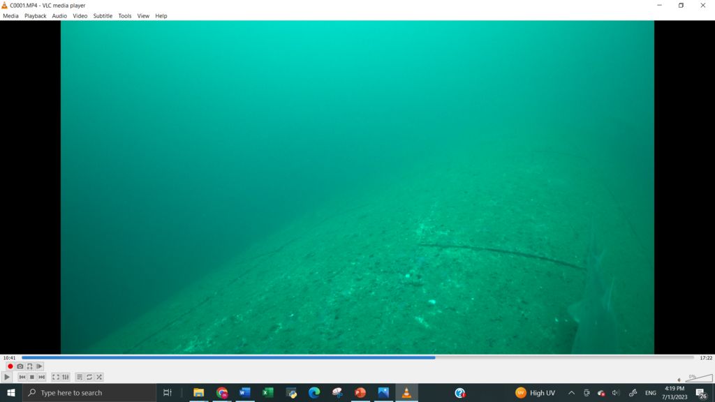 c5358049-144c-4c8d-8223-03bdf086651a