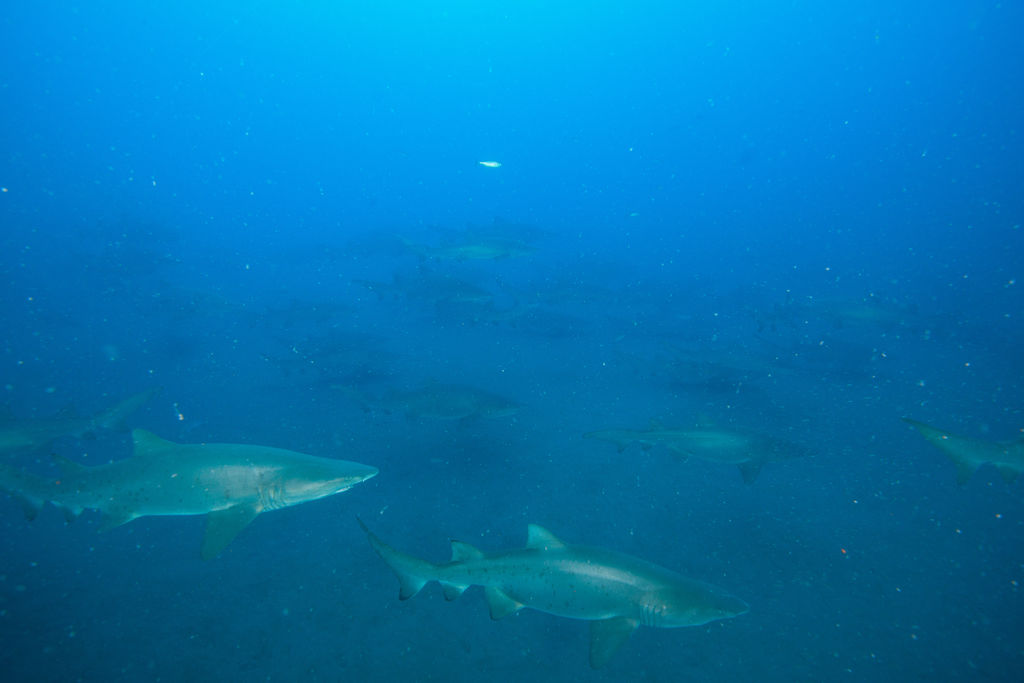 478e5170-127d-405a-af09-f73722252486