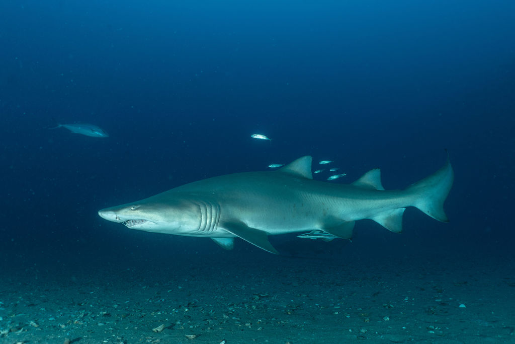 085f63b3-8e5d-4b09-921a-9049c83f88eb