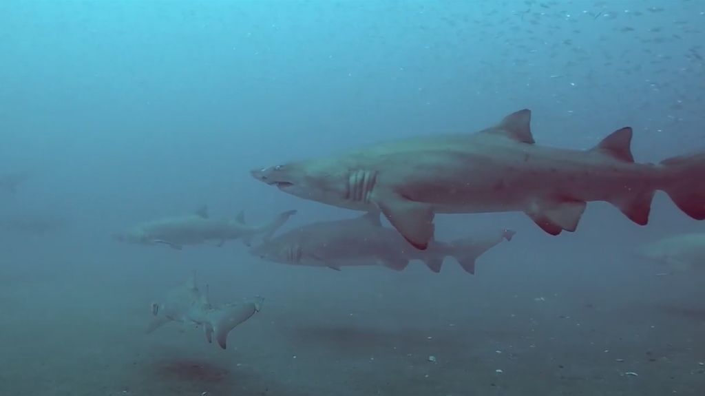 93b93c67-d8f5-422a-9efb-f92f3bd1d452