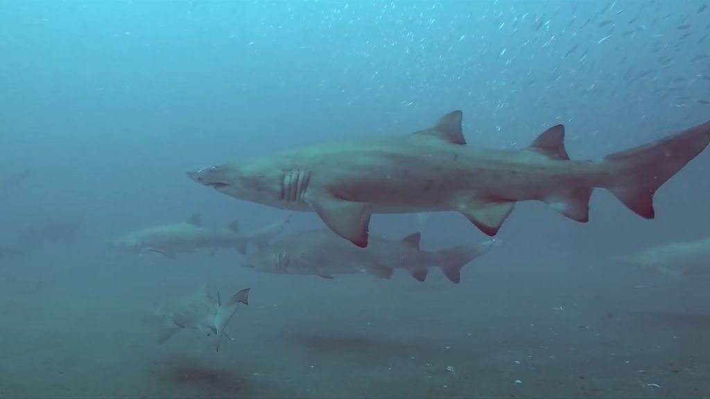 93b93c67-d8f5-422a-9efb-f92f3bd1d452