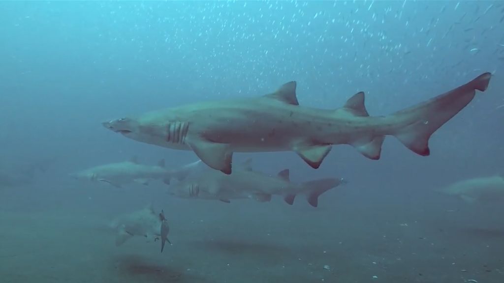 93b93c67-d8f5-422a-9efb-f92f3bd1d452