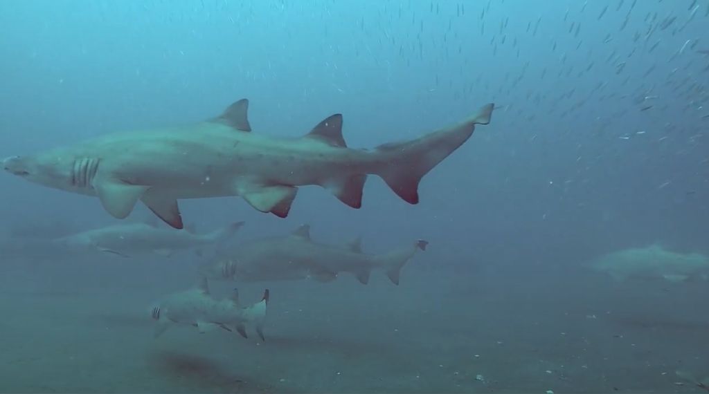 93b93c67-d8f5-422a-9efb-f92f3bd1d452