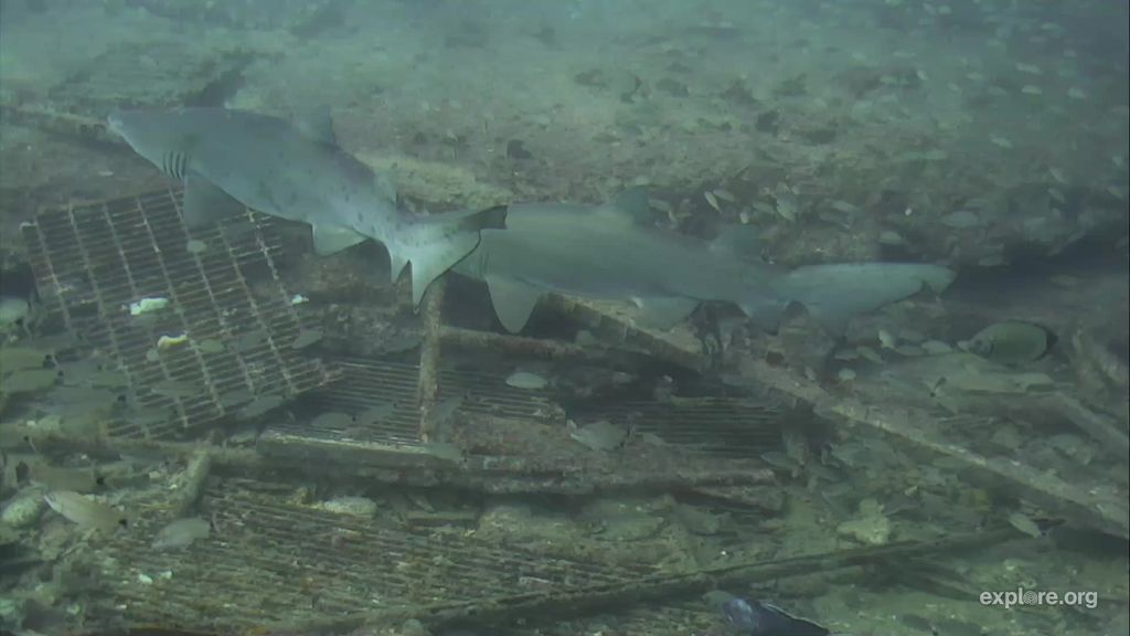 40e5b713-51b6-4d9b-89f9-34522c809d9a