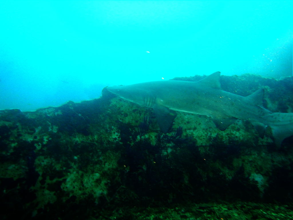 70dc7795-ed44-45b6-9cf5-ab84cd485413