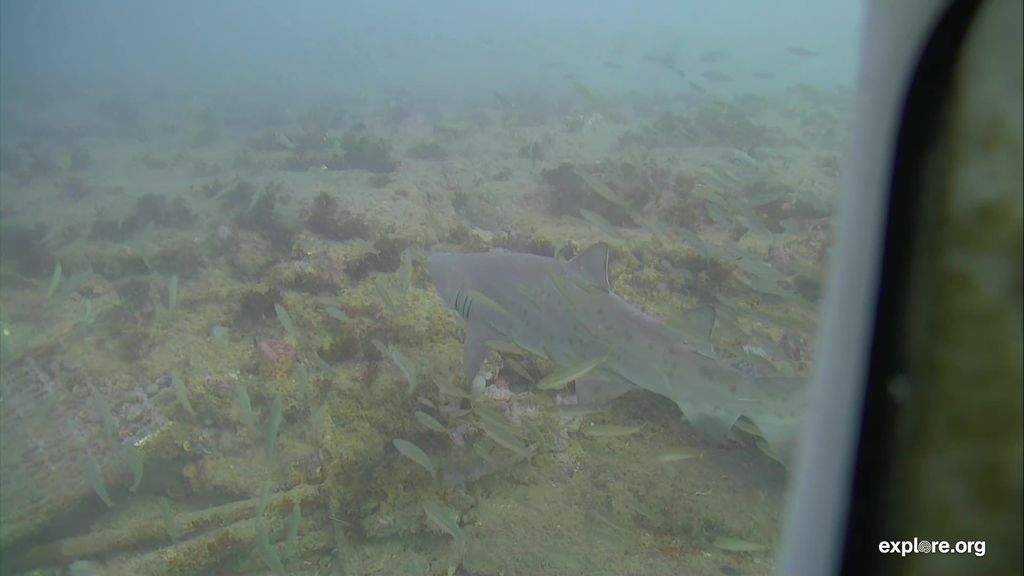 138cd9bf-7d90-40b0-b647-bcd387008bf1