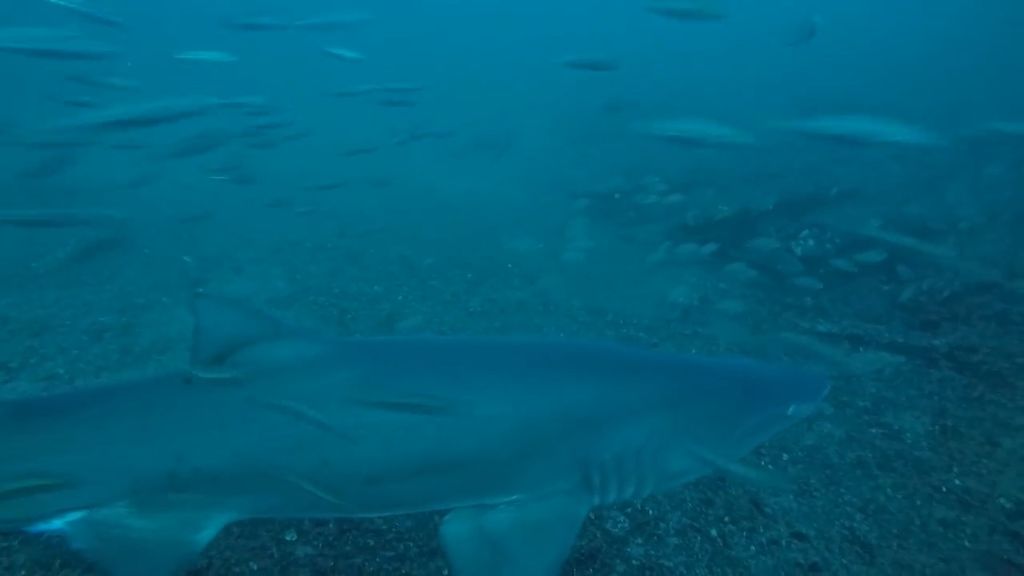 220edbd8-8bfa-440f-b318-9b62af6f7f51