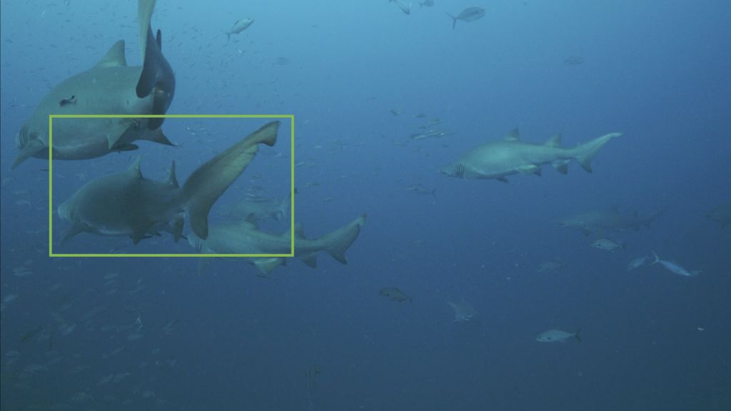 20669599-9a0f-4ce1-9557-b9bce4d9ce16